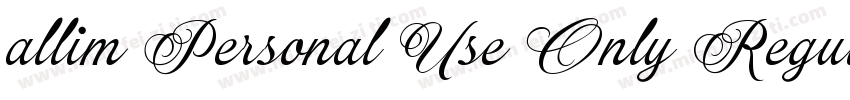 allim Personal Use Only Regular字体转换